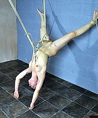 Shibari Bondage